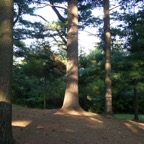 DSCN7748.JPG