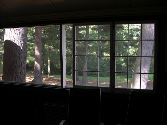 #12 View from Inside