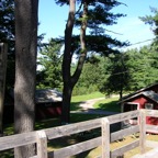DSCN7679.JPG