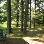 DSCN7501.JPG