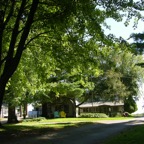 DSCN7671.JPG