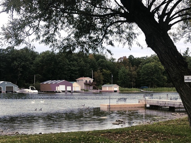 Ducks and Geese Enjoying the Fall Waterfront