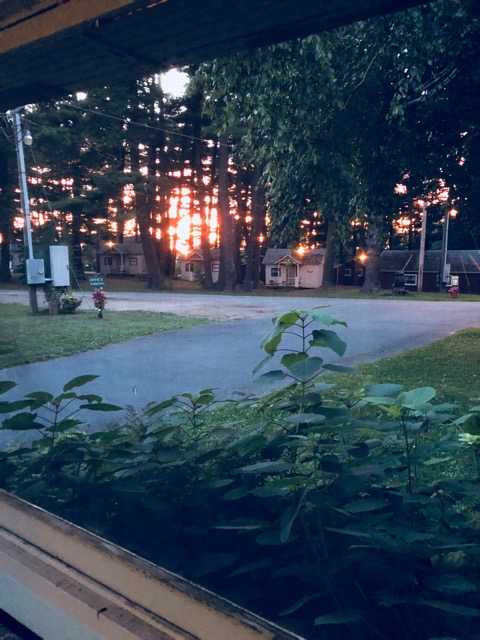the Grove During Sunset