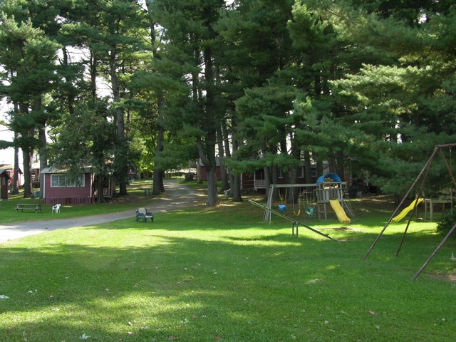 The Playground and Pine Grove.
