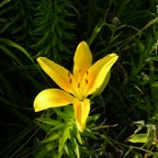 DSCN7126.JPG